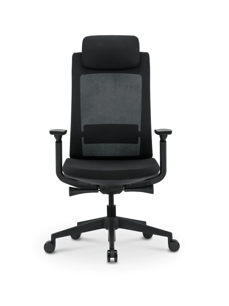 Chaise de Bureau Ergonomique | Synkro