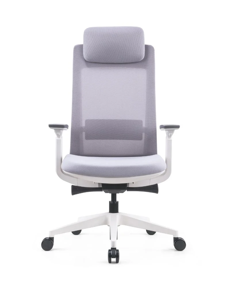 Chaise de Bureau Ergonomique | Synkro