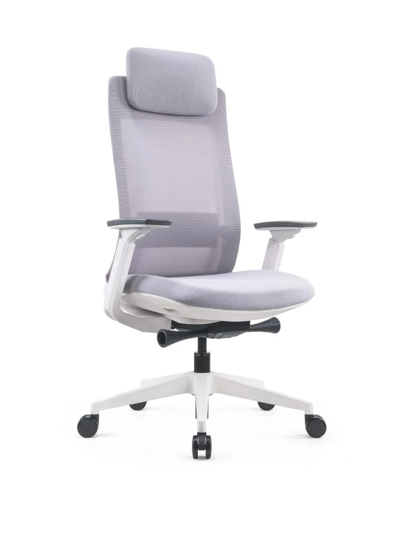 Chaise de Bureau Ergonomique | Synkro