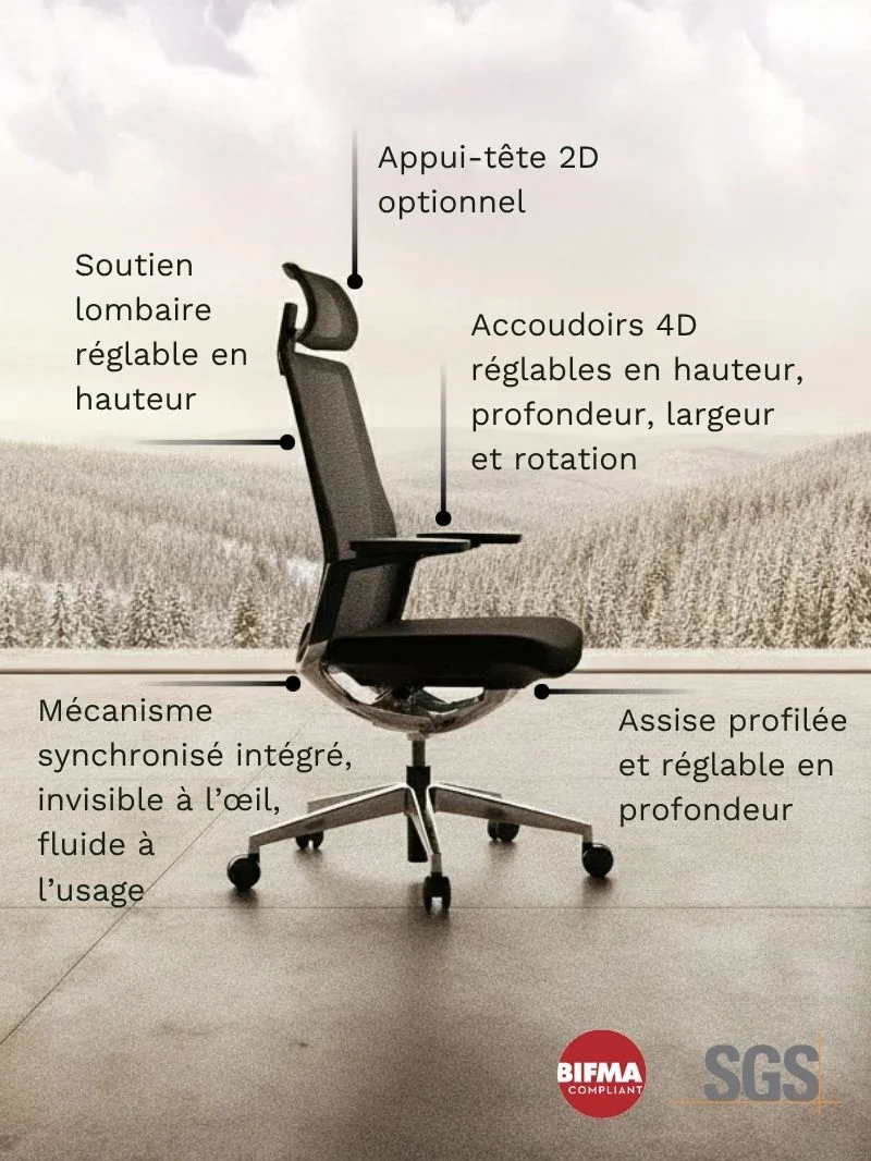 Chaise de Bureau Ergonomique | Invicta