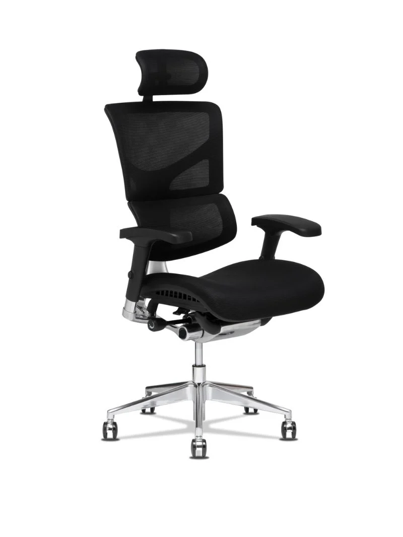 Chaise de Bureau Ergonomique | Altima