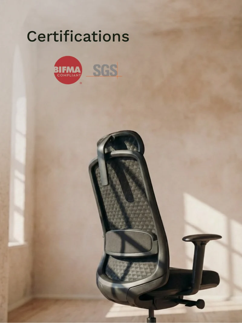 Chaise de Bureau Ergonomique | Modulo 2