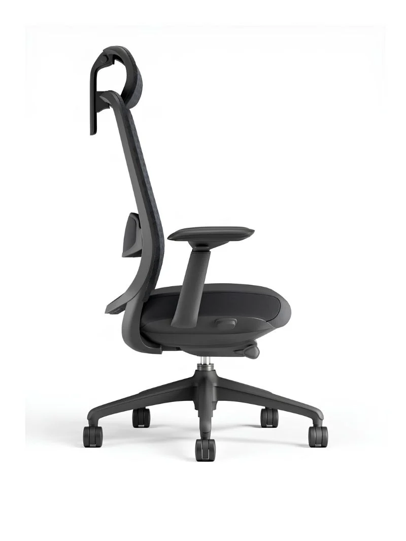 Chaise de Bureau Ergonomique | Modulo 2
