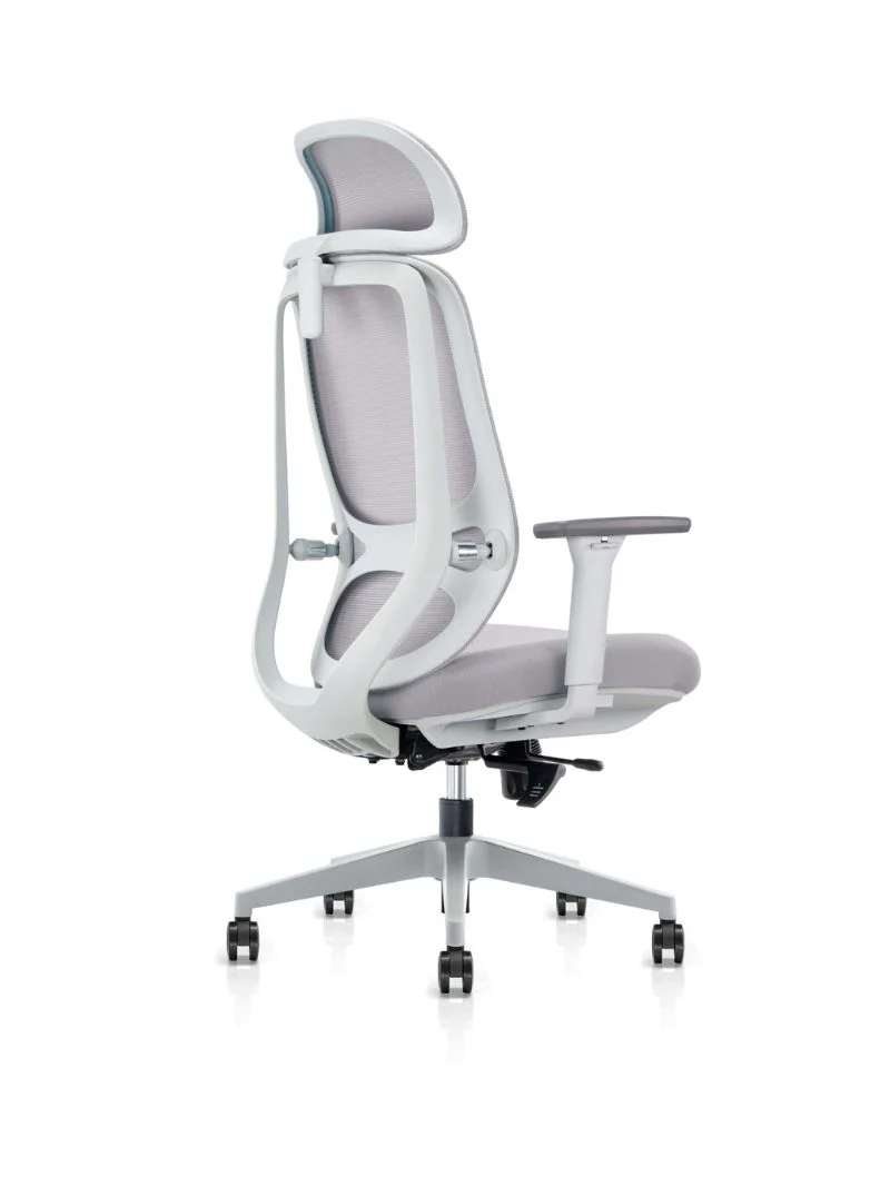 Chaise de Bureau Ergonomique | Milo
