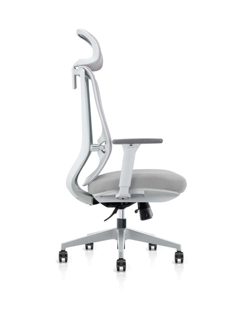 Chaise de Bureau Ergonomique | Milo