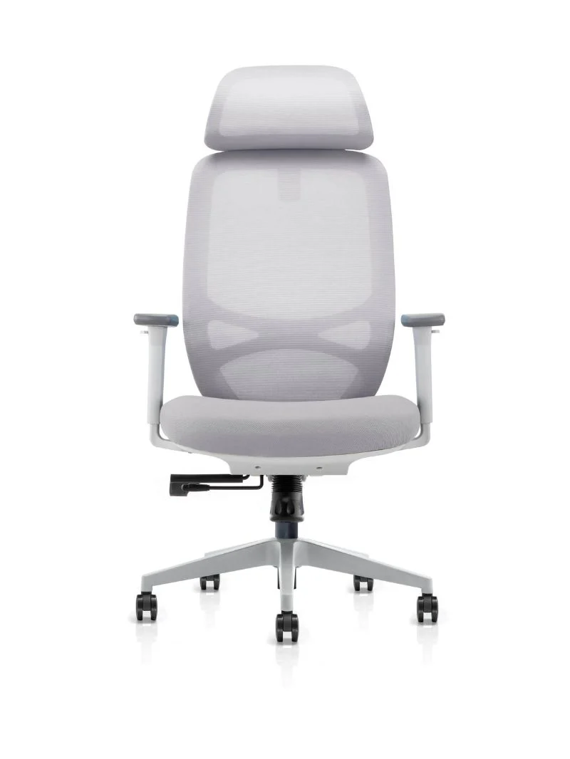 Chaise de Bureau Ergonomique | Milo