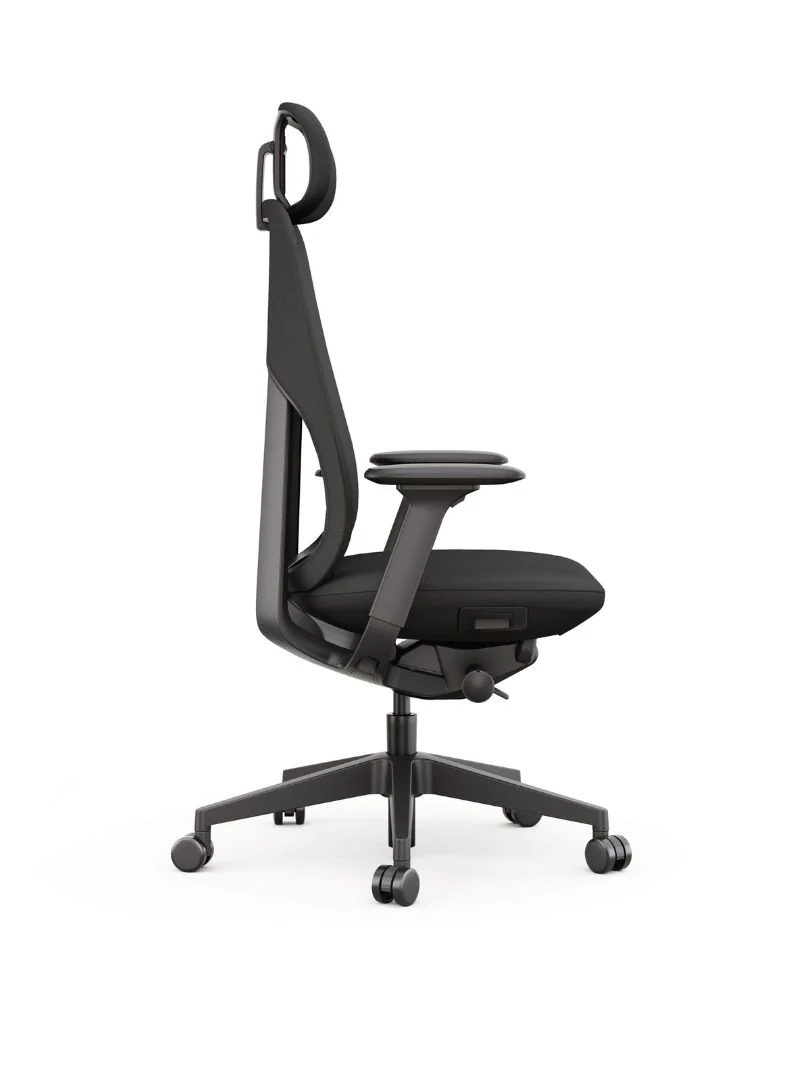Chaise de Bureau Ergonomique | Maestra