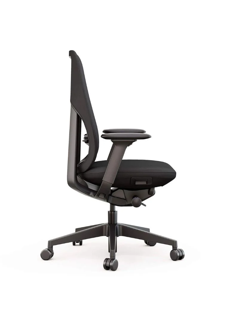Chaise de Bureau Ergonomique | Maestra