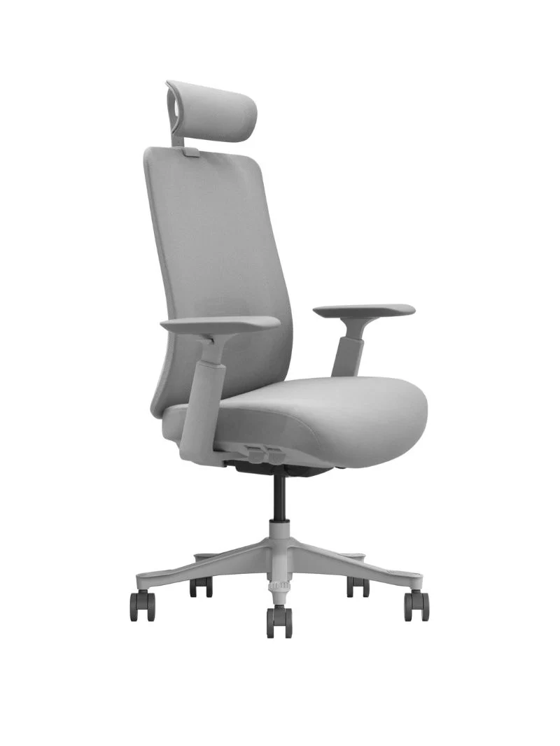 Chaise de Bureau Ergonomique | Luno