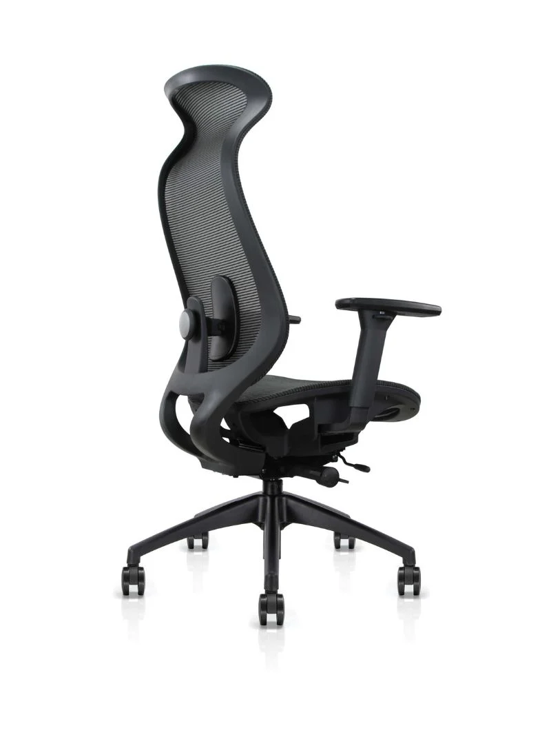 Chaise de Bureau Ergonomique | Lineo