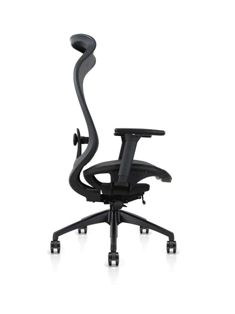 Chaise de Bureau Ergonomique | Lineo