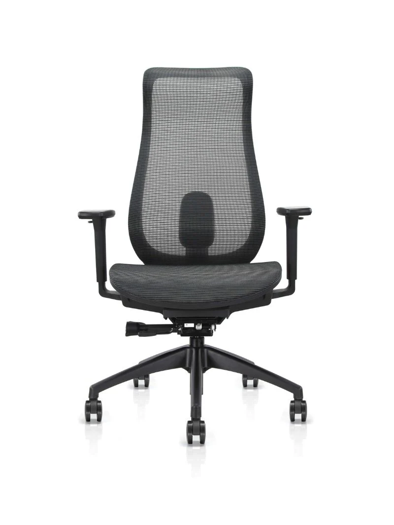 Chaise de Bureau Ergonomique | Lineo