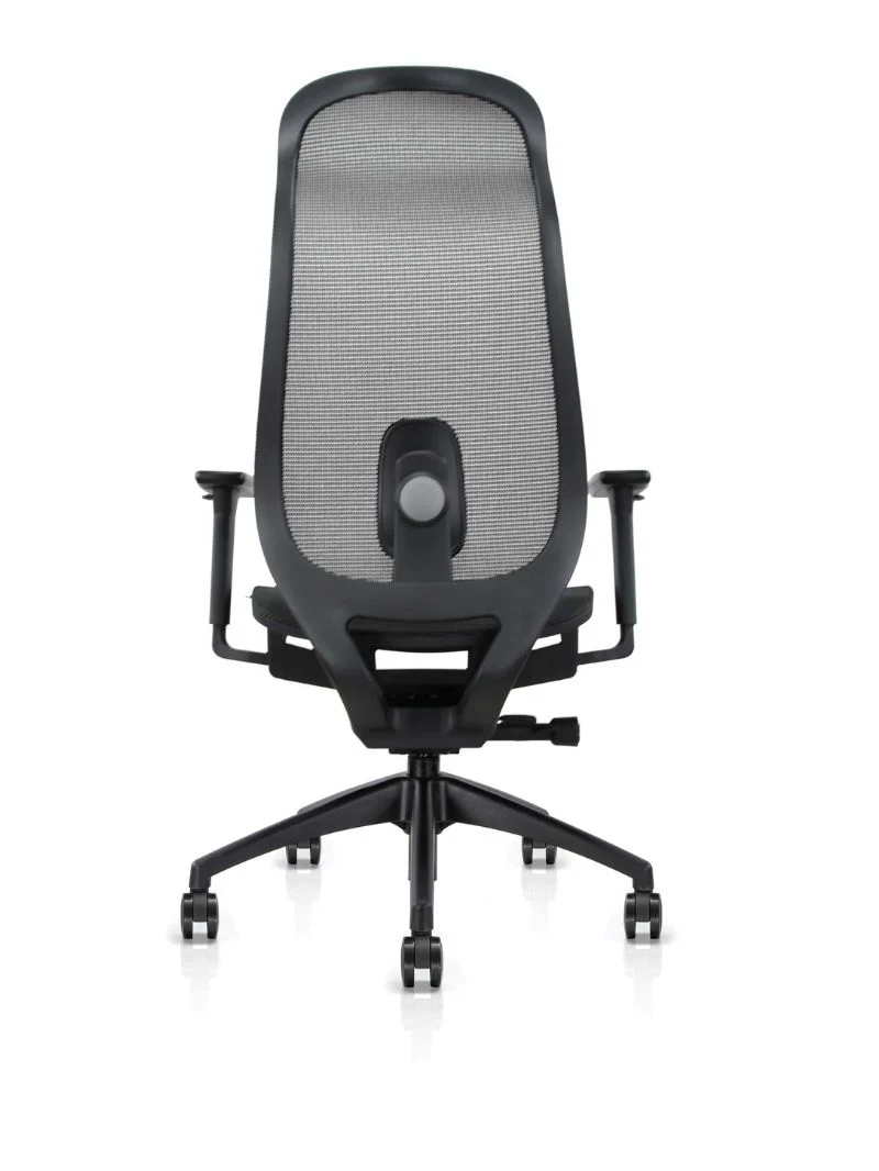 Chaise de Bureau Ergonomique | Lineo