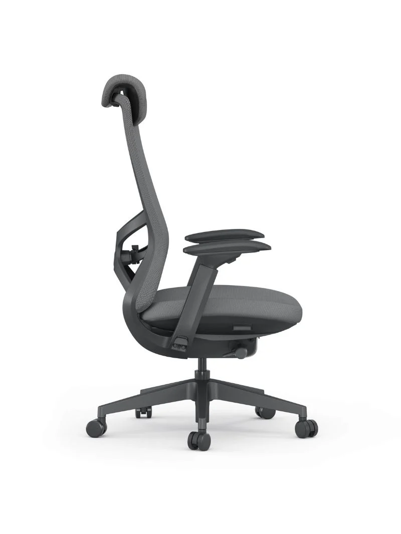 Chaise de Bureau Ergonomique | Vectura