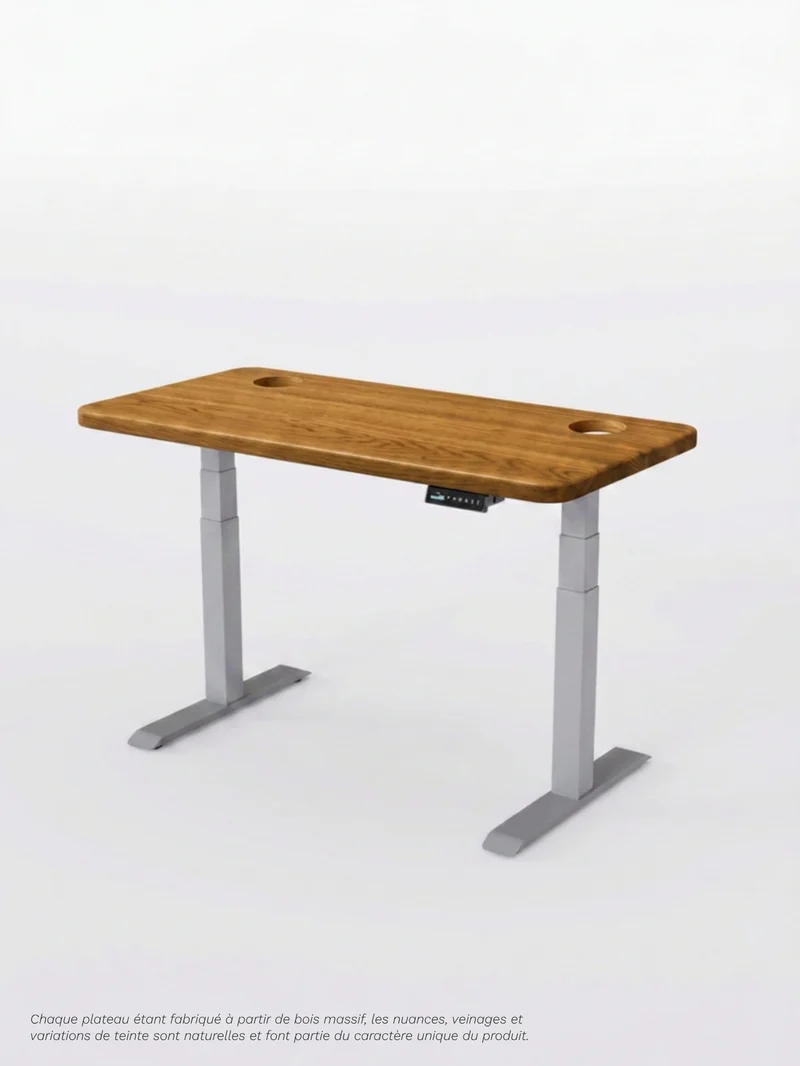 Advanced Pro - Plateau Premium Oak | Bureau Assis Debout Électrique en Chêne Massif, Hautes Performances