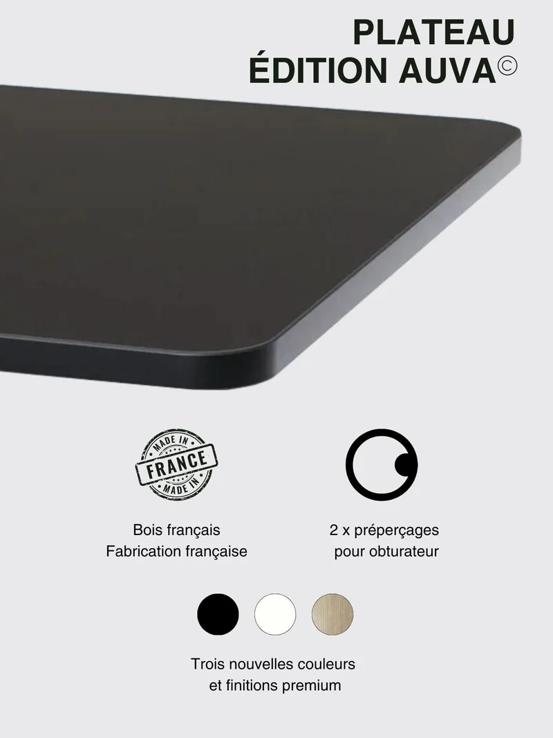 Duo Go - Plateau Auva | Bench Assis Debout Électrique 2 Postes, 70 cm, Angles arrondis, Ports USB A & C