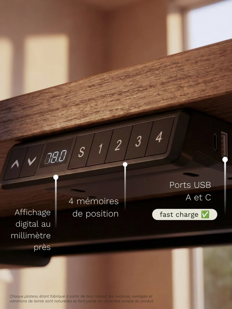 Advanced Go - Plateau Premium Oak | Bureau Assis Debout Électrique en Chêne Massif, Ports USB A & C