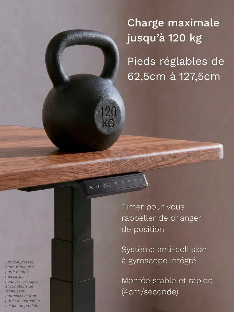 Advanced Go - Plateau Premium Oak | Bureau Assis Debout Électrique en Chêne Massif, Ports USB A & C