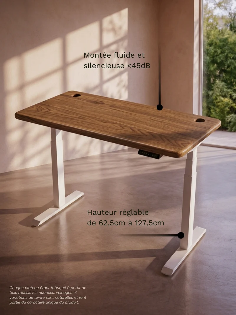 Advanced Go - Plateau Premium Oak | Bureau Assis Debout Électrique en Chêne Massif, Ports USB A & C
