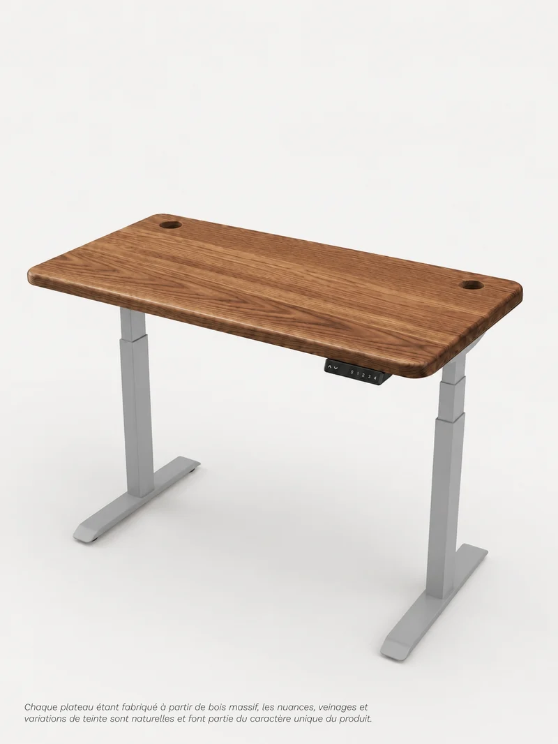 Advanced Go - Plateau Premium Oak | Bureau Assis Debout Électrique en Chêne Massif, Ports USB A & C