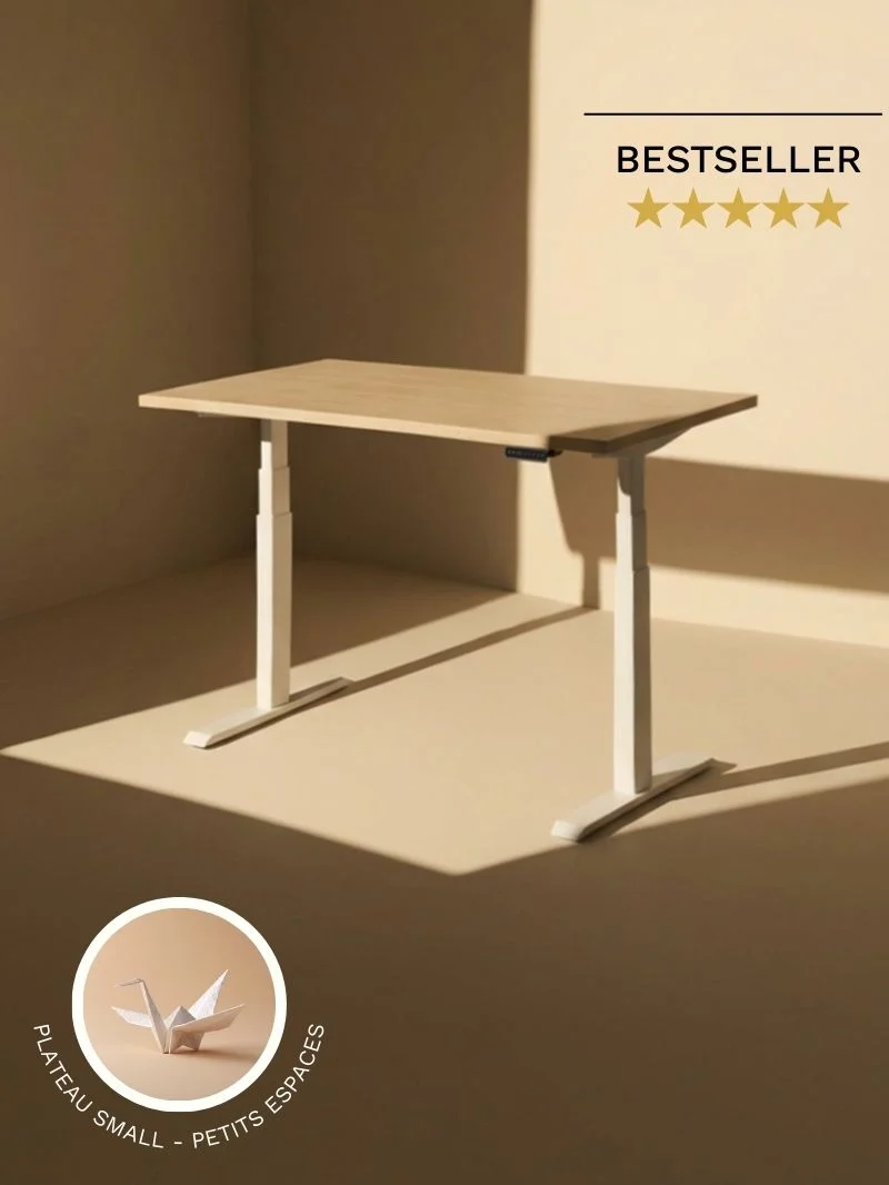 Advanced Go - Plateau Small | Bureau Assis Debout Électrique 110x60 ou 120x60, Ports USB A & C