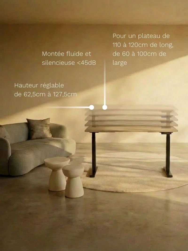 Advanced Go - Plateau Essential | Bureau Assis Debout Électrique, Ports USB A & C