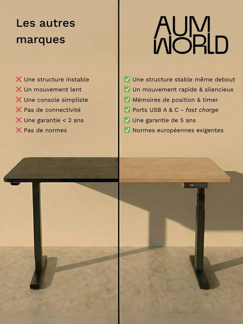 Advanced Go - Plateau Essential | Bureau Assis Debout Électrique, Ports USB A & C