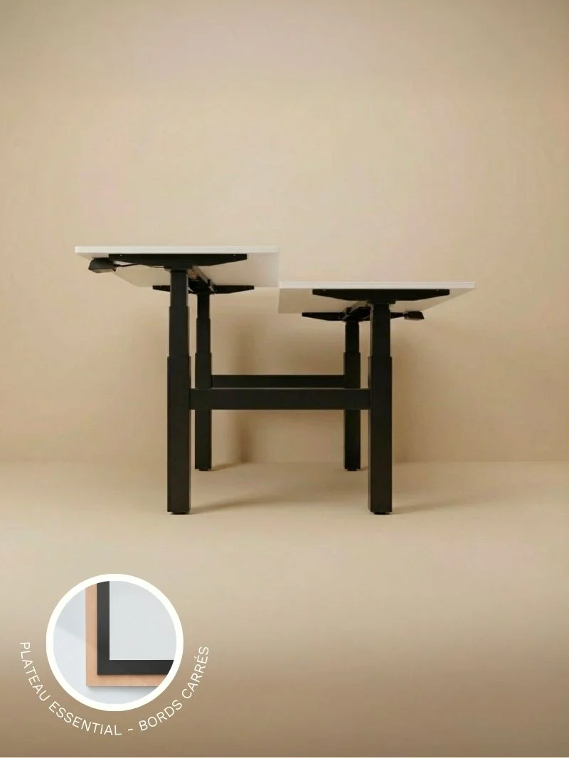 Duo | Bench Assis Debout Électrique, 2 postes