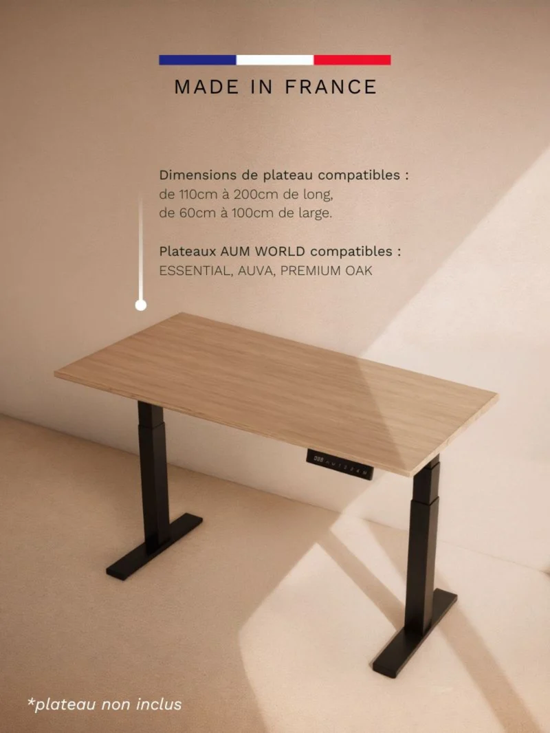 Advanced | Pieds de Bureau Électrique Réglable en Hauteur