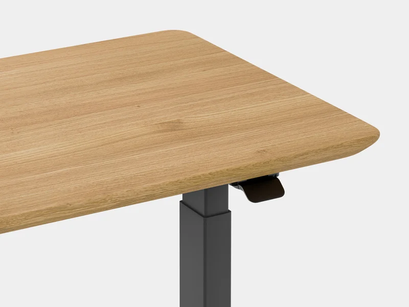 Standing Desk Pro Mini