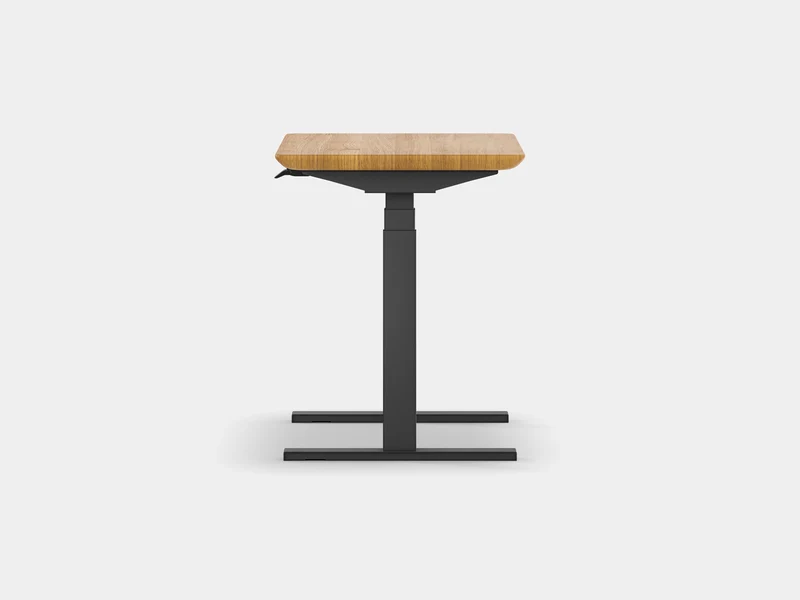 Standing Desk Pro Mini