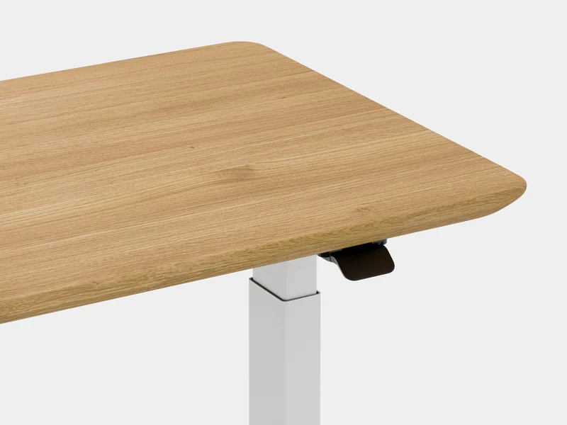 Standing Desk Pro Mini