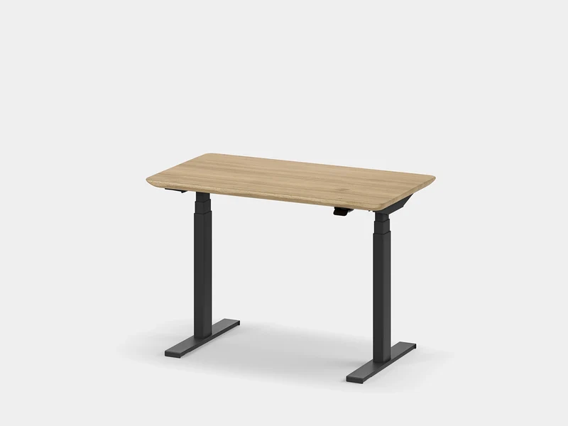 Standing Desk Pro Mini