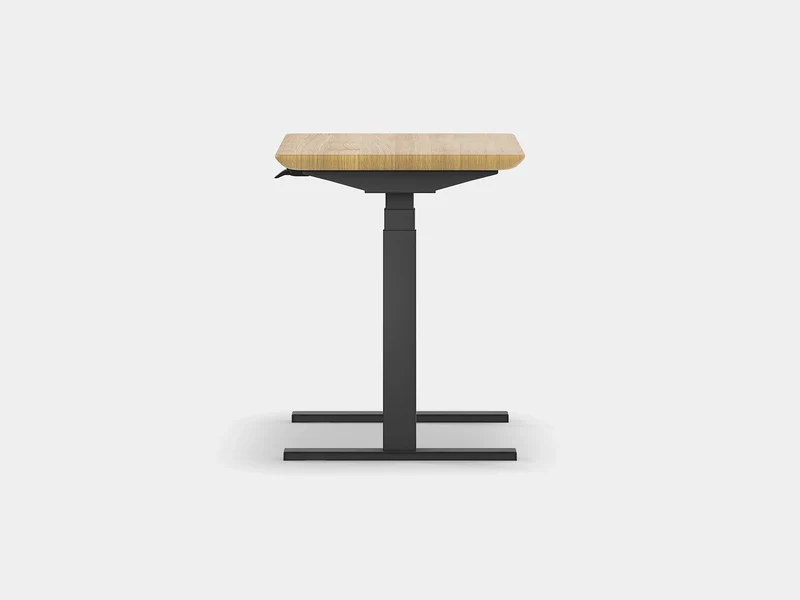 Standing Desk Pro Mini