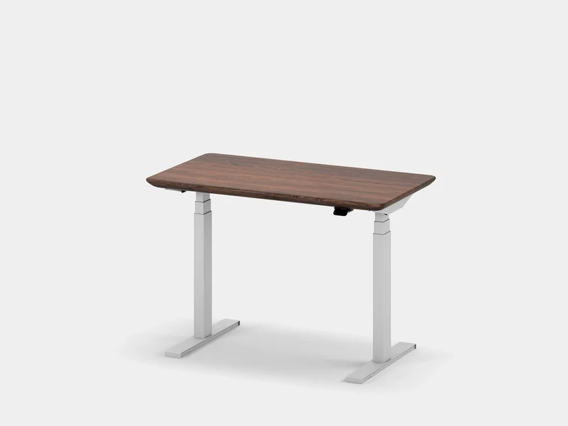 Standing Desk Pro Mini