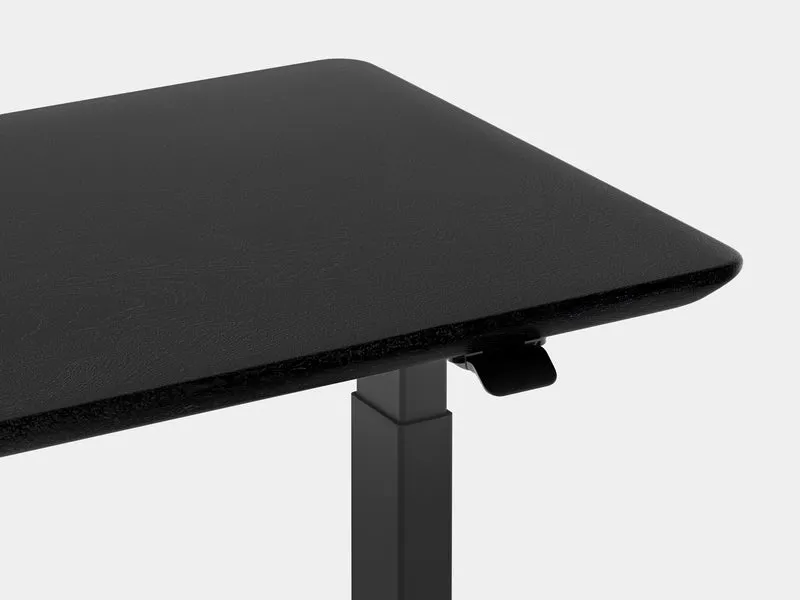 Standing Desk Pro Mini
