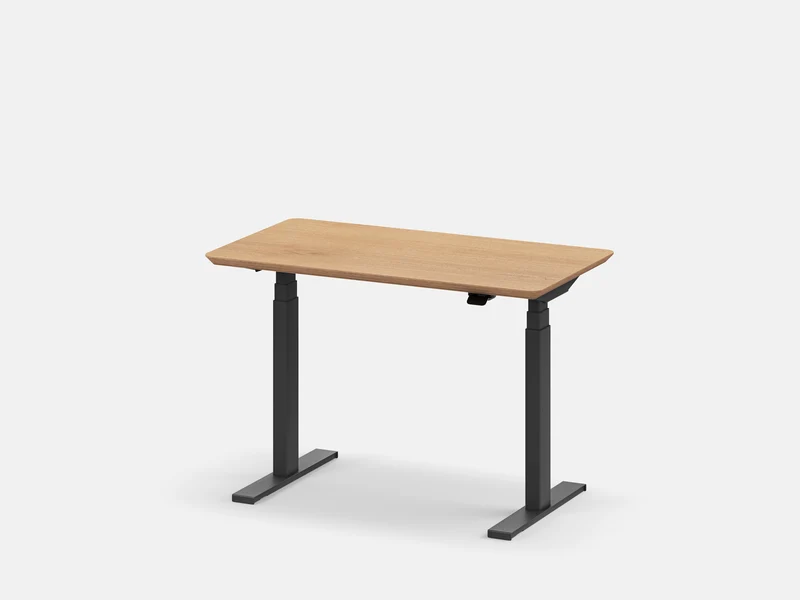 Custom Standing Desk Pro Mini