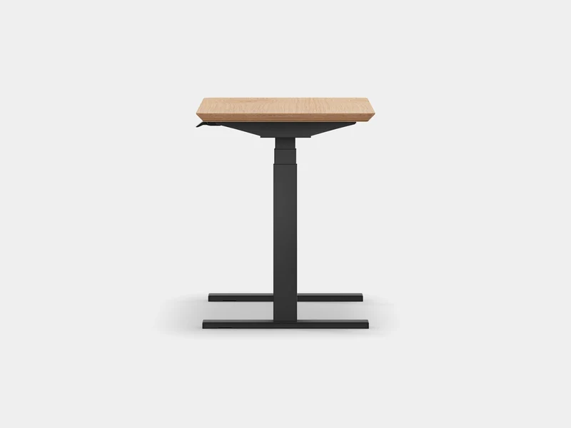 Standing Desk Pro Mini