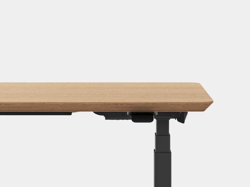 Standing Desk Pro Mini