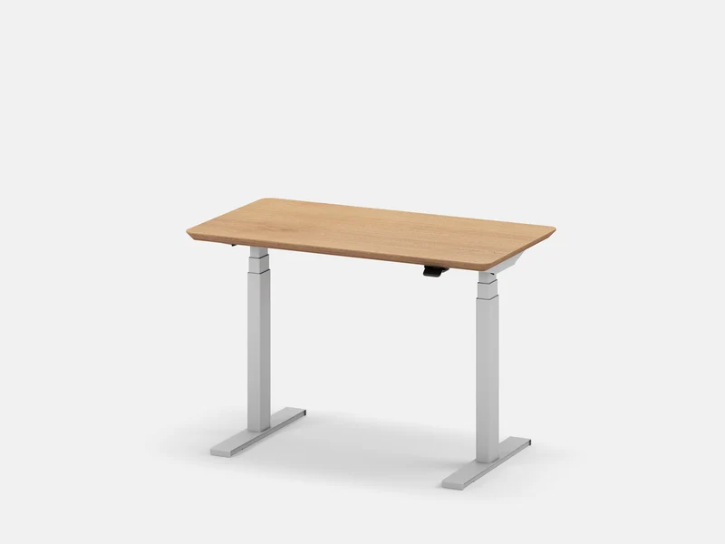 Custom Standing Desk Pro Mini