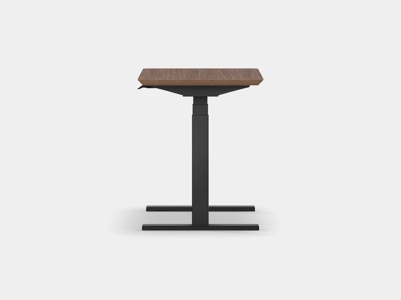 Standing Desk Pro Mini