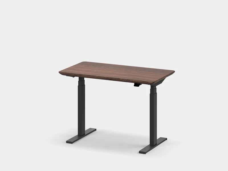 Custom Standing Desk Pro Mini