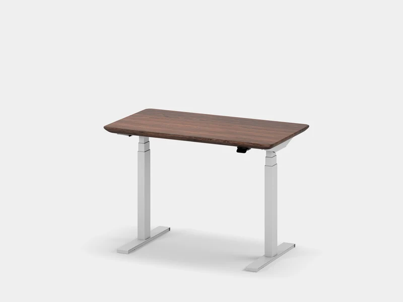 Custom Standing Desk Pro Mini