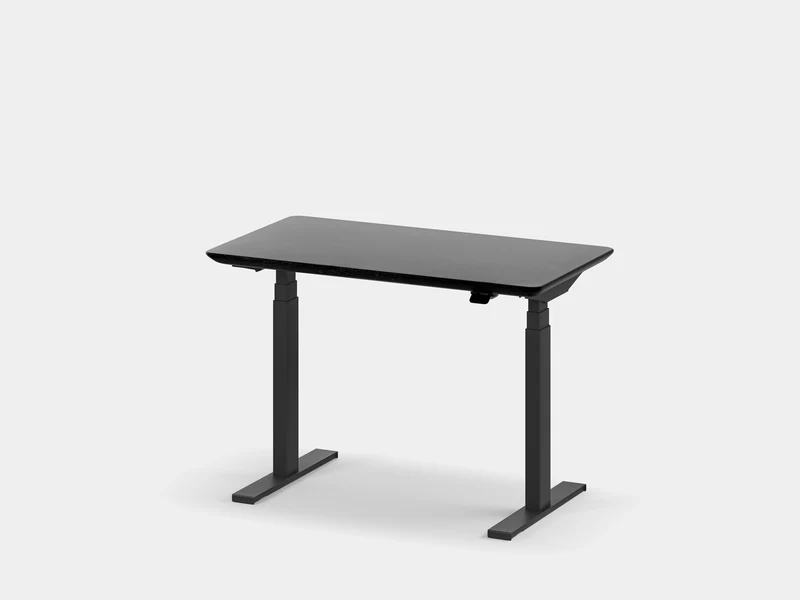 Custom Standing Desk Pro Mini