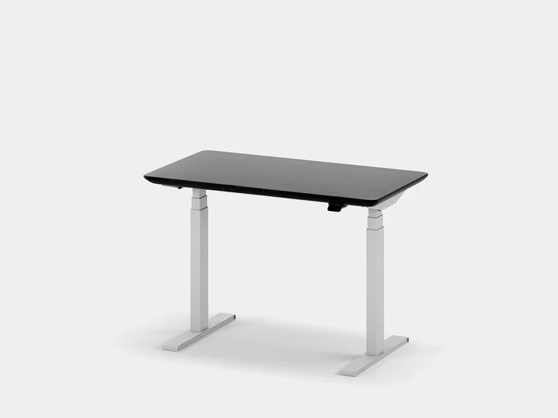 Custom Standing Desk Pro Mini