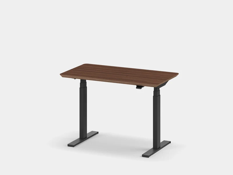 Custom Standing Desk Pro Mini