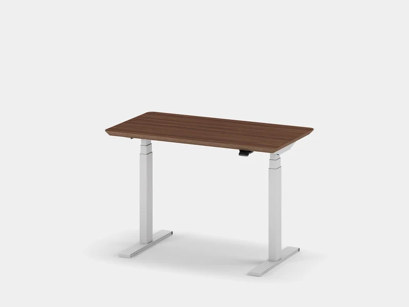 Custom Standing Desk Pro Mini