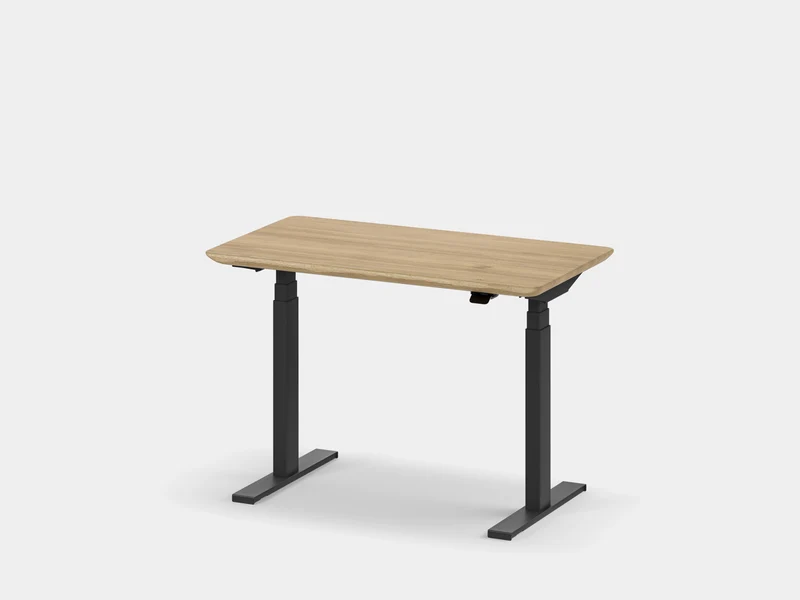 Custom Standing Desk Pro Mini