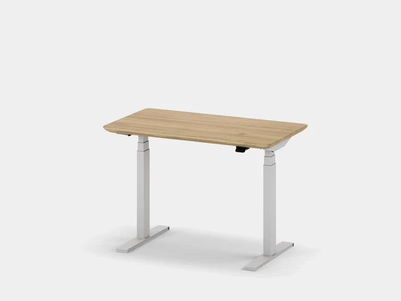 Custom Standing Desk Pro Mini
