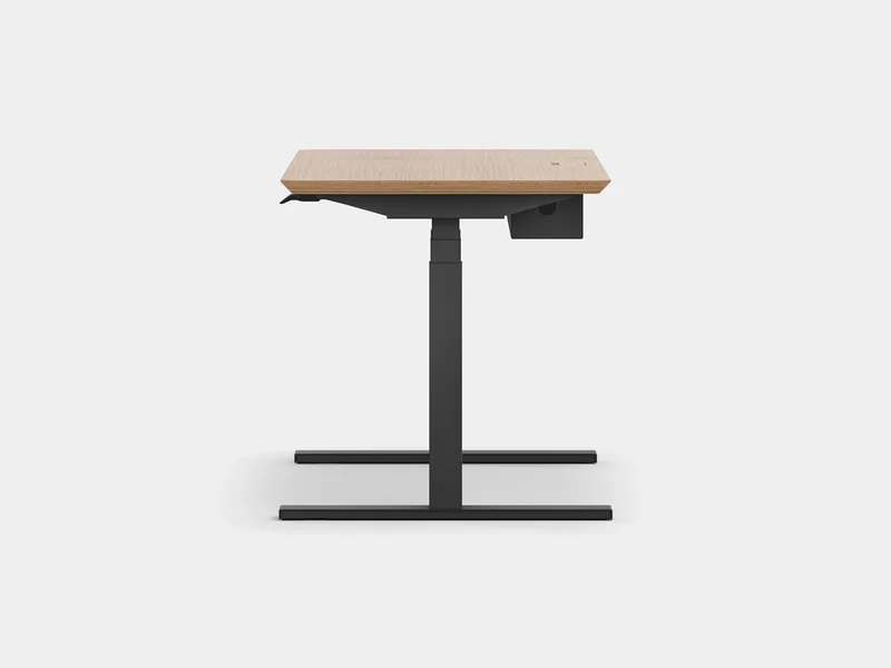 Standing Desk Pro Bundle